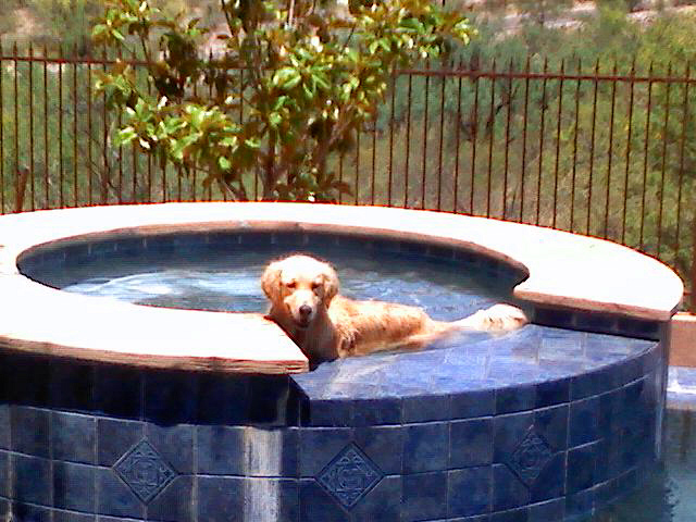 Perfection Pools project