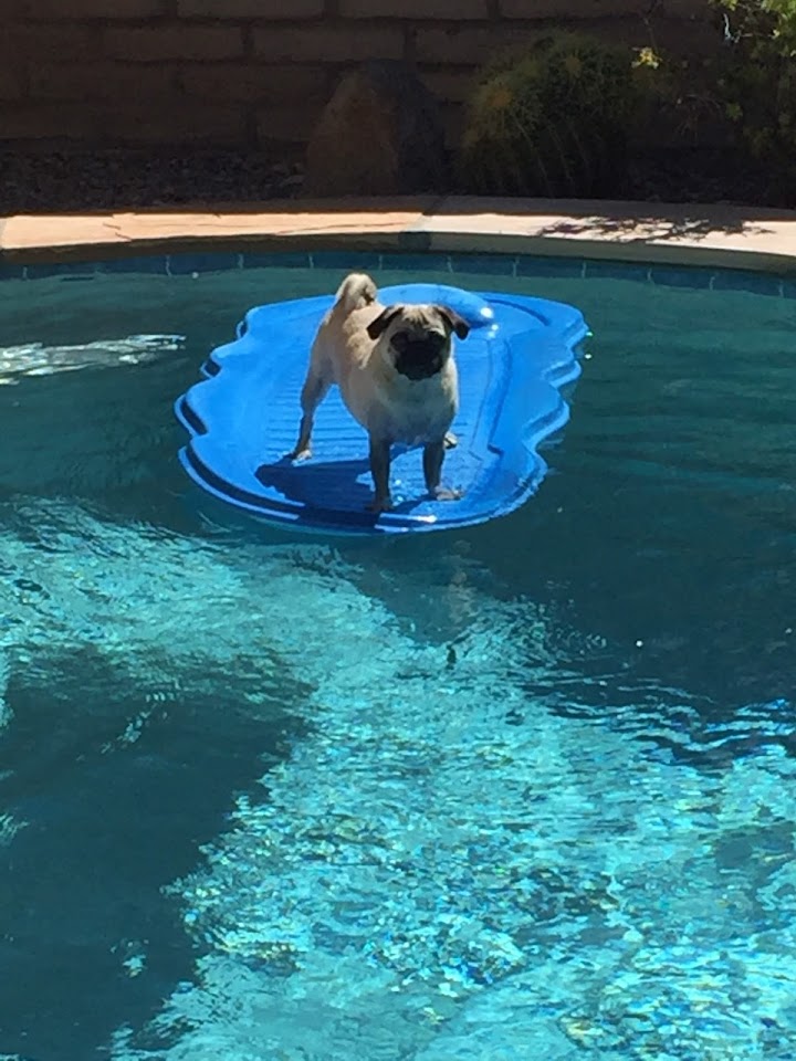 Perfection Pools project